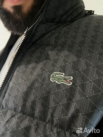 Курта мужская lacoste