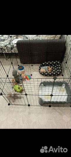 Вольер для щенков в квартиру