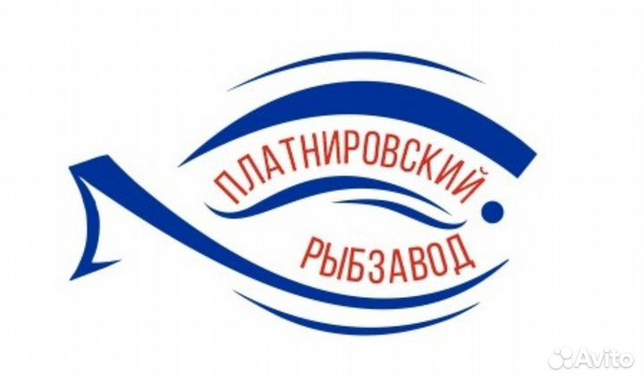 Охранник