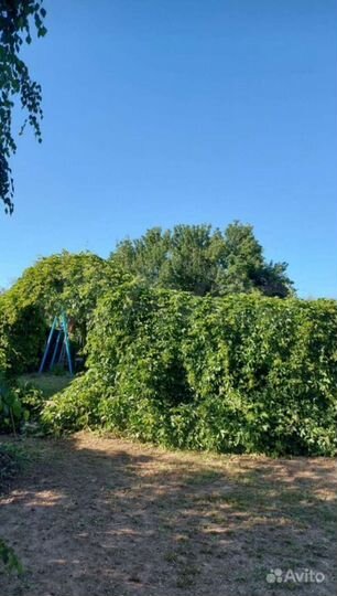 Дом 92 м² на участке 12 сот.