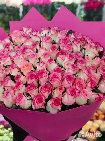 Розы на 14 февраля предзаказ Вологда