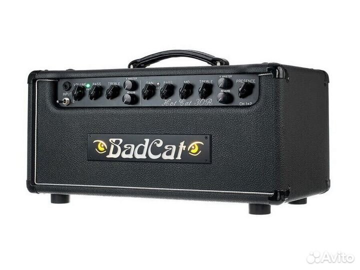Bad Cat Hot Cat 30 Reverb Head усилитель