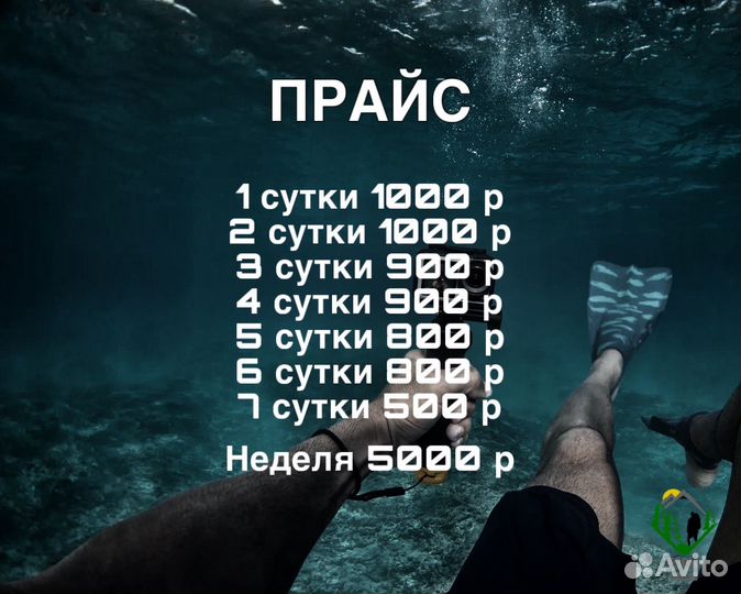 Аренда экшн камеры GoPro hero 10