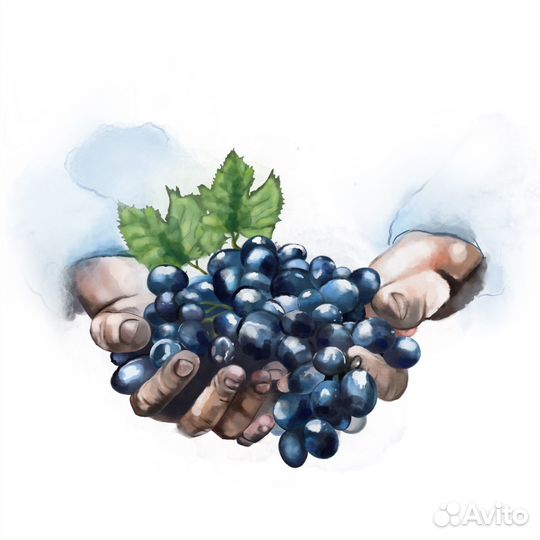 Художник иллюстратор