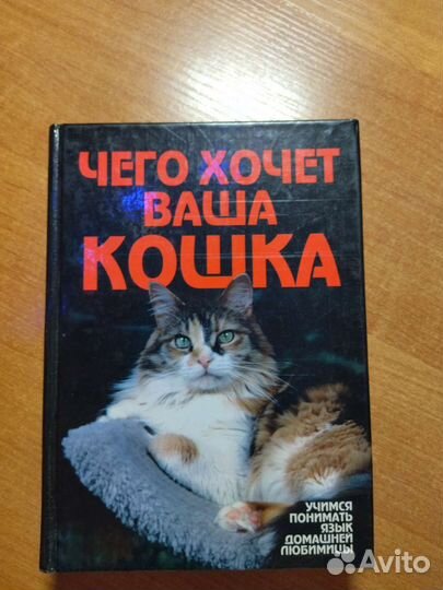 Чего хочет ваша кошка