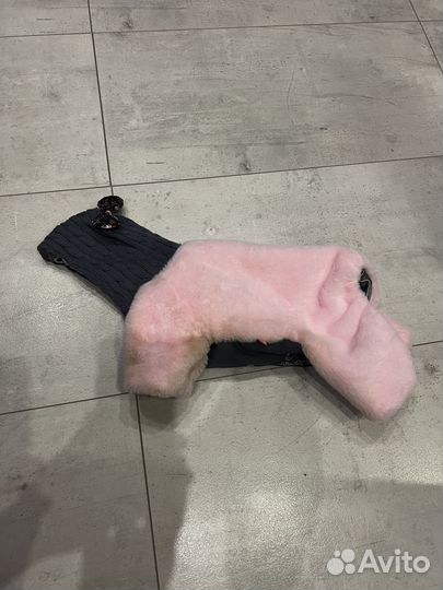 Одежда для собак мелких пород девочек