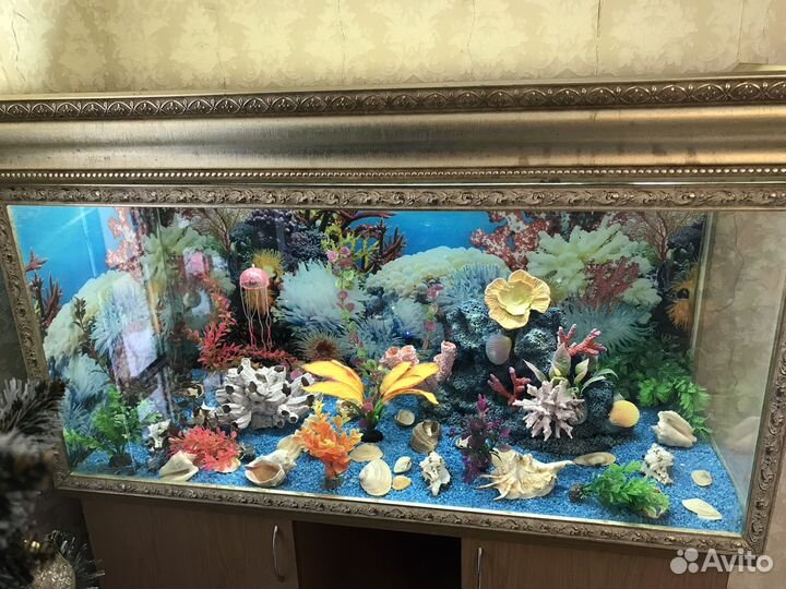 Сюда все вопросы про дом и аквариум