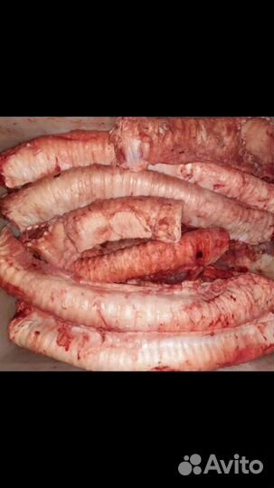 Корм для собак