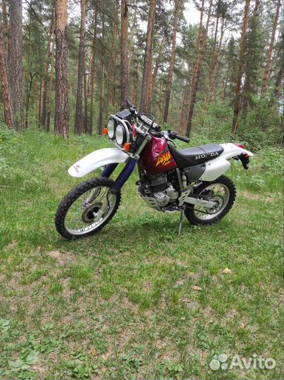 Honda XR 250
