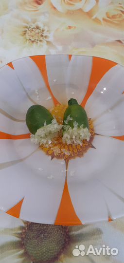 Австролийский фингерлайм