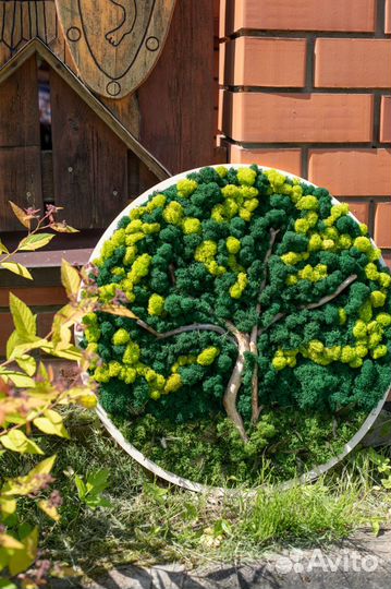 Стабилизированный мох. Панно из мха