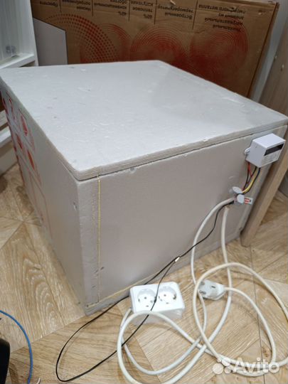 Инкубатор для яиц рептилий