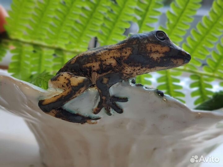 Декоративная миска