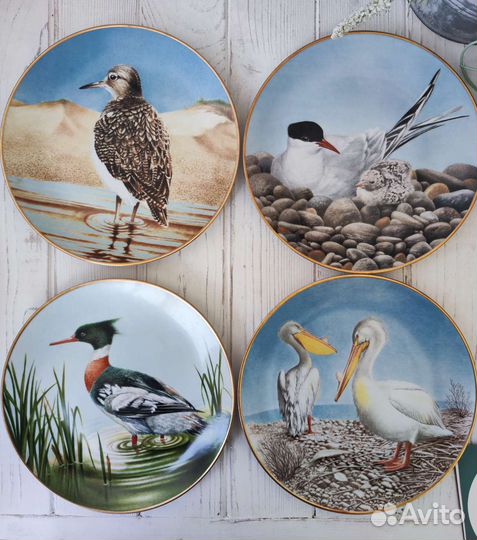 Полный комплект 12 Waterbird Plates