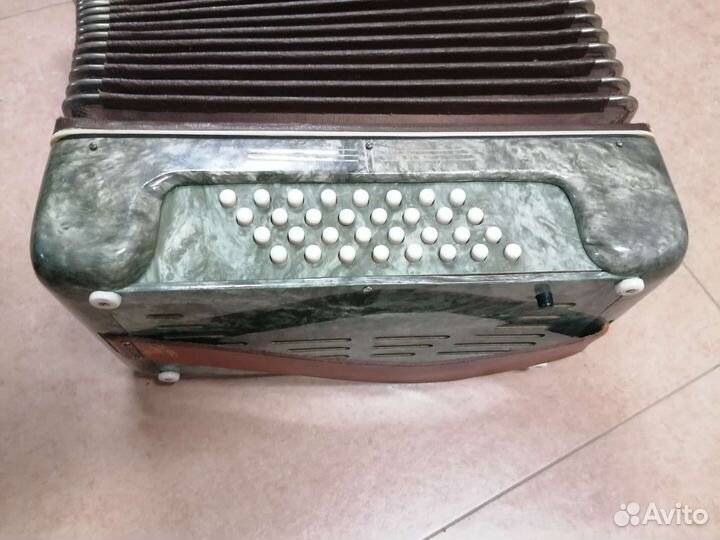 Аккордеон 1/2