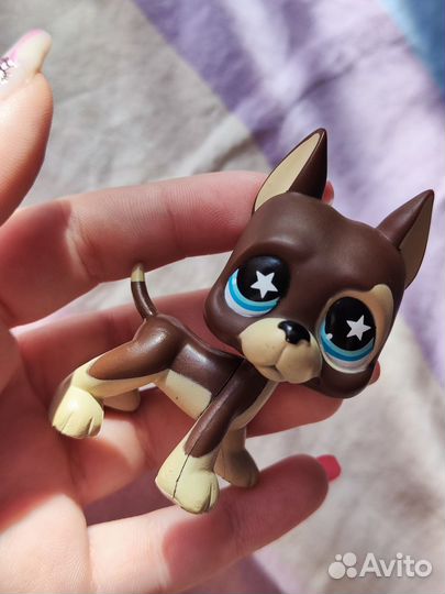 Littlest pet shop