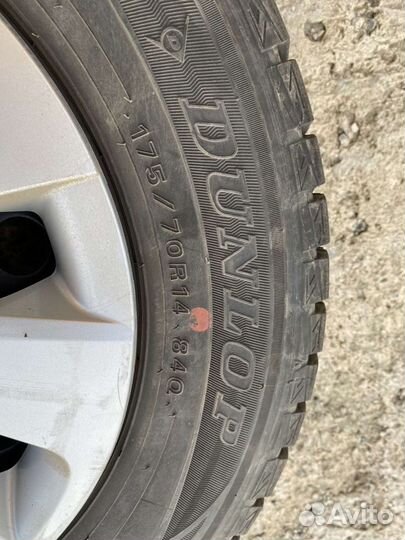 Dunlop Winter Maxx WM01 175/70 R14