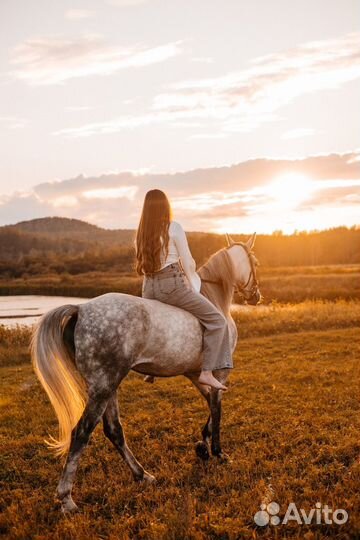 Конные прогулки и фотосессии