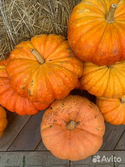 Фермерские продукты