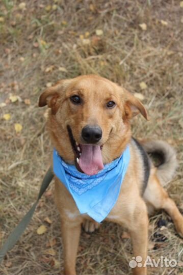 Баффи, несмотря на все пережитое, улыбается