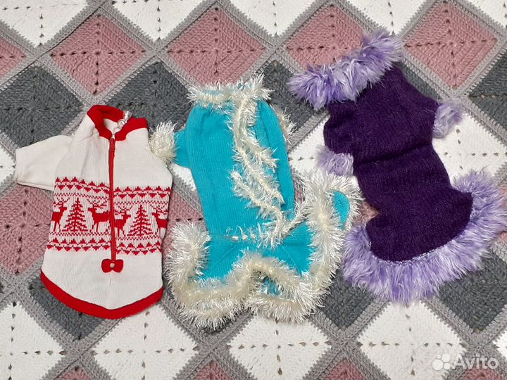 Одежда для собаки