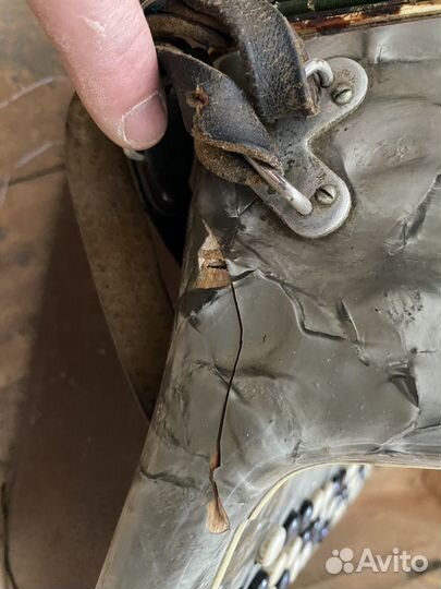 Баян weltmeister