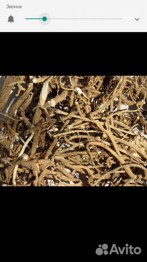 Душица зверобой, корень солодки