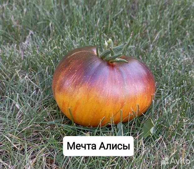 Семена томатов крупноплодных салатных