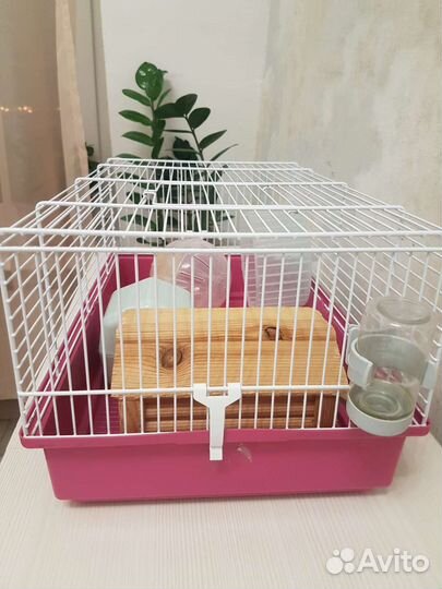 Клетка для грызунов