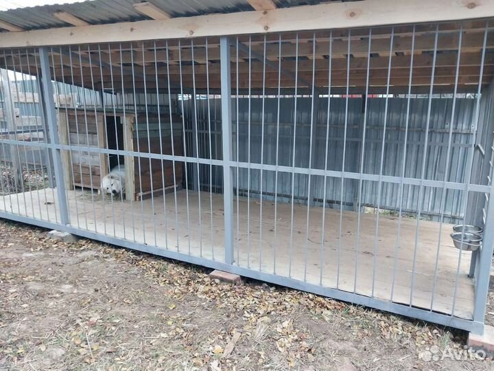 Вольер для собак любых размеров
