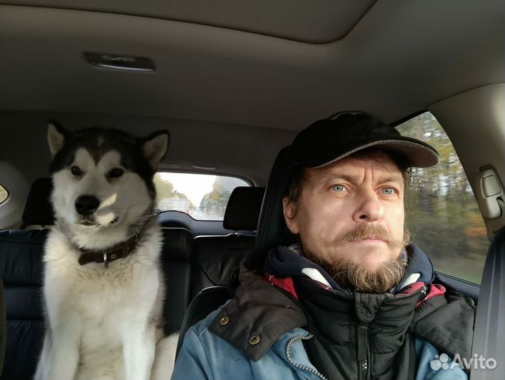 Нянь, строгий деда