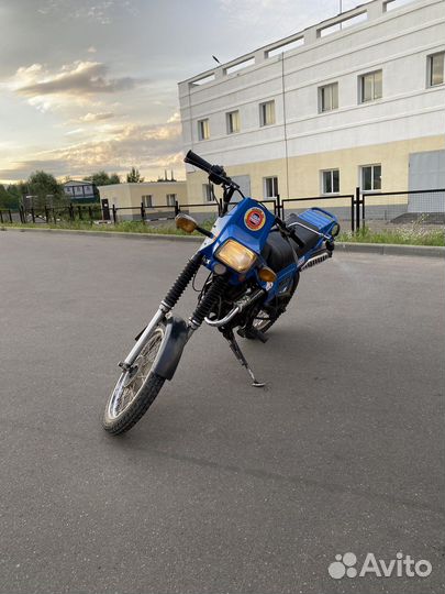 Зид пилот 50