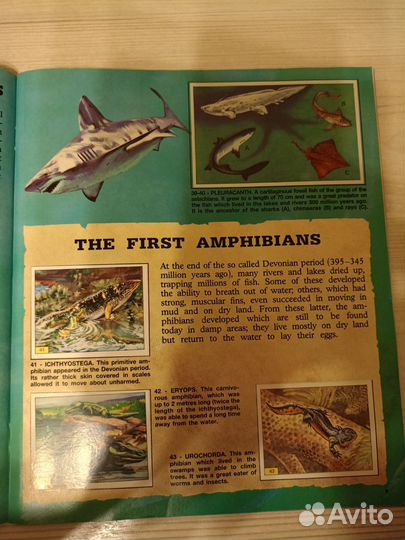 Журнал для наклеек Доисторические животные Панини