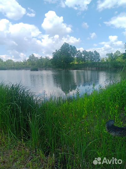 Для отдыха на природе