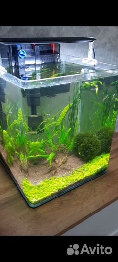 Аквариум