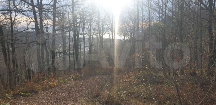 Участок 6 сот. (СНТ, ДНП)