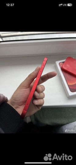 iPhone 12 256