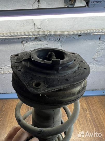 Стойка подвески передняя правая Nissan Tiida С11