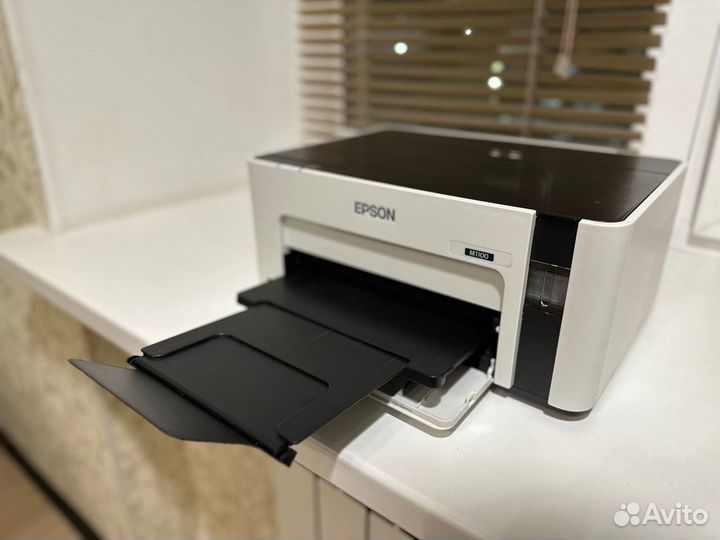 Принтер epson M1100