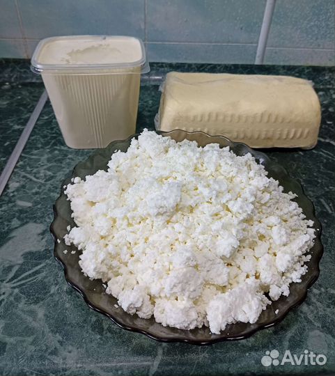 Молоко, сметана, сыр