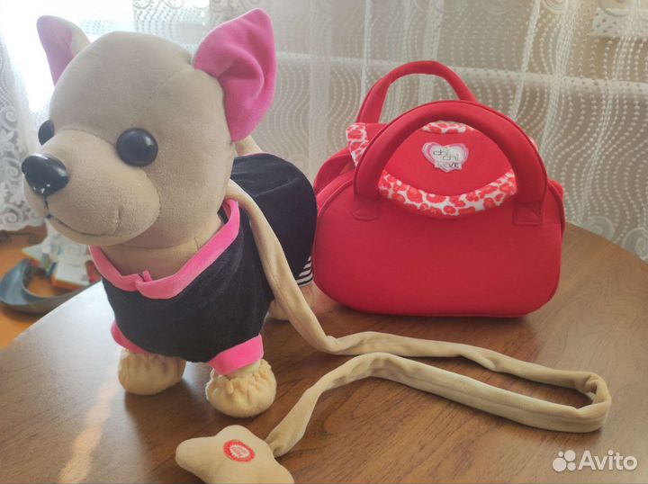 Chi-chi love чичилав собака