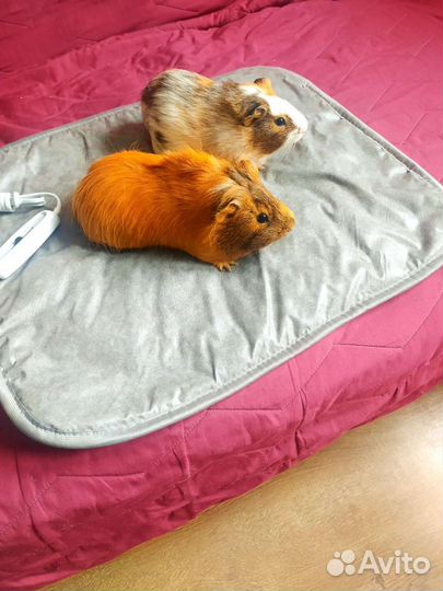 Термоковрик с регулировкой