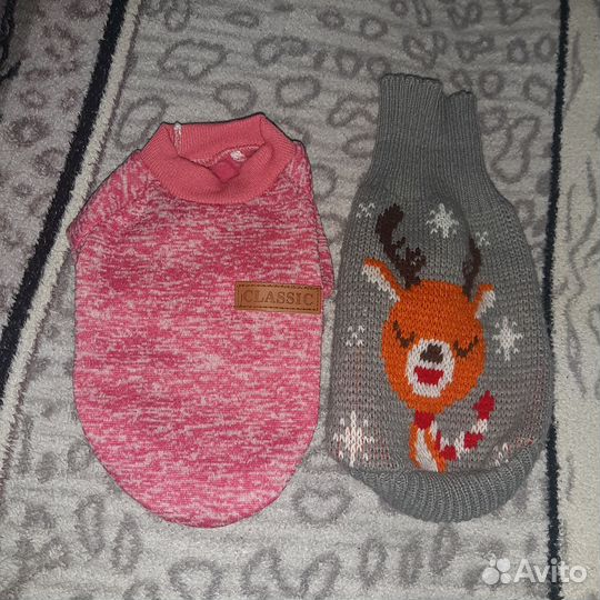 Одежда для собак мелких пород