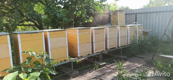 Продам ульи для пчел