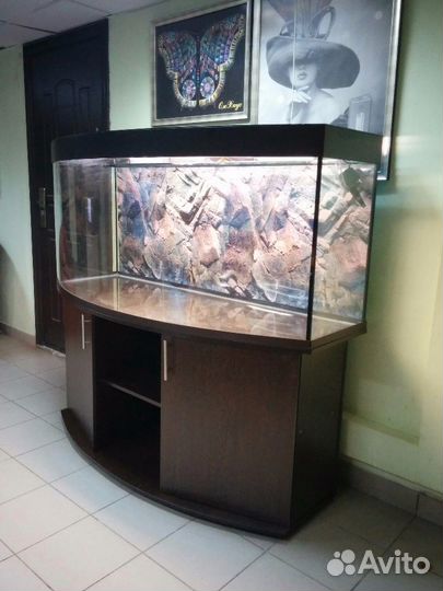 Аквариум 600л. Полукруглый, свет, биофильтр, тумба