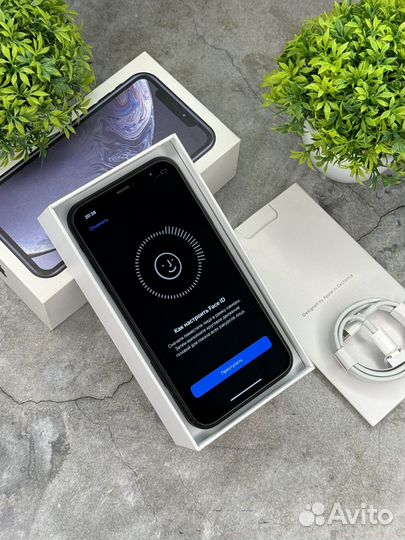 iPhone Xr, 128 ГБ