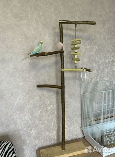 Игровая площадка, Стенд для попугая