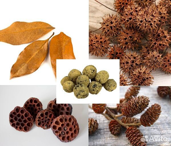 Пропант, Лава, Шунгит, Органика