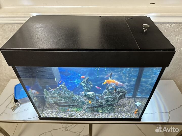 Аквариум вместе с рыбами