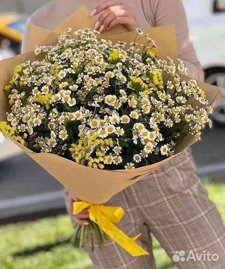 Цветы ромашки